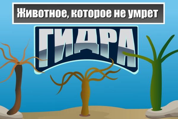 Мега сайт цена